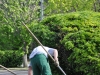 Entretien des espaces verts