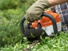 Man trimming hedge